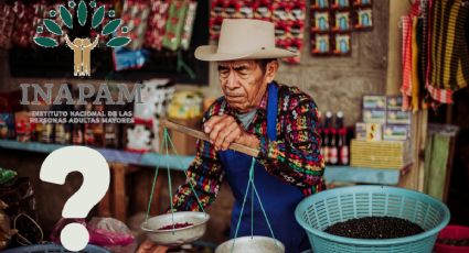 INAPAM 2025: Así pueden obtener adultos mayores una despensa de alimentos con su credencial