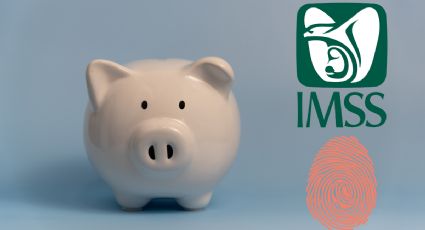 Pensión IMSS: Guía para hacer registro de datos biométricos para pensionados Ley 73 y Ley 97