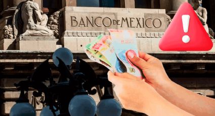Alerta Banxico: Hacer esto con tus billetes te puede llevar a pasar hasta 12 años a prisión