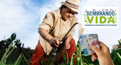 Ariadna Montiel lanza importante mensaje a beneficiarios de Sembrando Vida