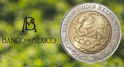 ¿Cuándo entrará en circulación la nueva moneda de 1 peso hecha con materiales sustentables?