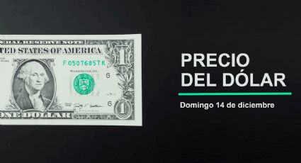 Precio del dólar hoy domingo 14 de diciembre 2025: Así está el tipo de cambio en México