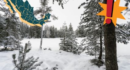 Ráfaga ártica: ¿Afectará a México y cuánto bajarán las temperaturas?