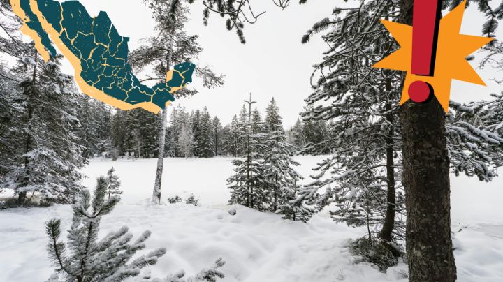 Ráfaga ártica: ¿Afectará a México y cuánto bajarán las temperaturas?