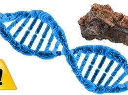 3I/ATLAS: Científico de Harvard sugiere que objetos interestelares podrían sembrar vida en la Tierra