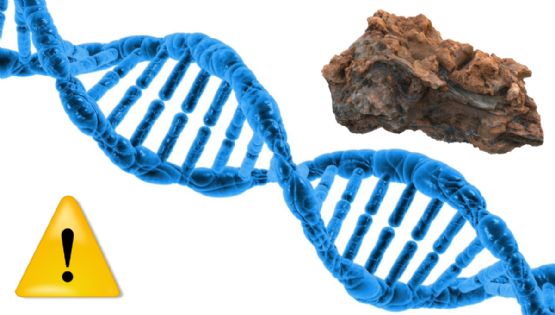 3I/ATLAS: Científico de Harvard sugiere que objetos interestelares podrían sembrar vida en la Tierra