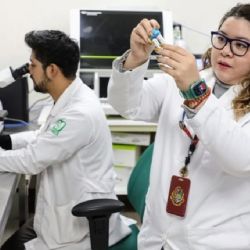 IMSS lanza EMPLEO con sueldo de 50,000 pesos al mes, vales de despensa, aguinaldo y bono económico