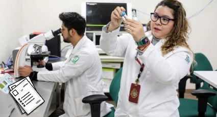 IMSS lanza EMPLEO con sueldo de 50,000 pesos al mes, vales de despensa, aguinaldo y bono económico