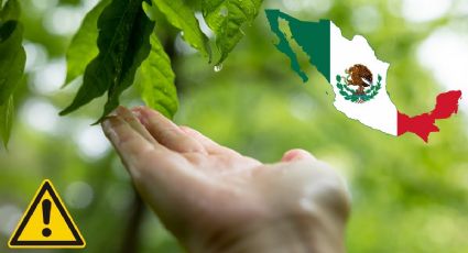 Alertan por FUERTES lluvias pese a ALTAS temperaturas en estos estados a partir de hoy 17 de febrero