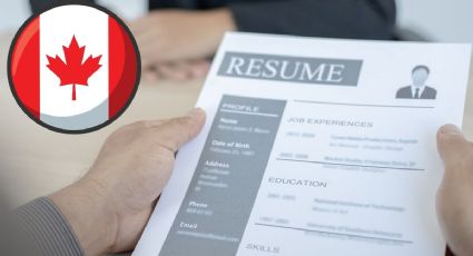 Canadá oferta empleo para mexicanos que no tengan estudios con sueldo de 91,000 pesos al mes