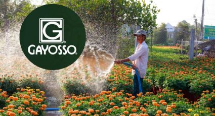 Funerarias Gayosso ofrece VACANTE con sueldo de más de 12,500 para personas sin experiencia