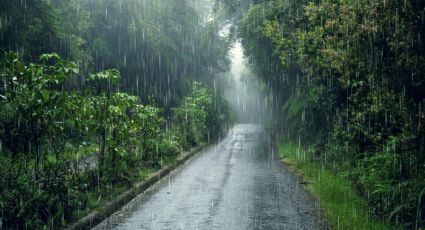 Temporada de lluvias 2025: ¿En qué estados de México lloverá más en mayo 2025? | LISTA