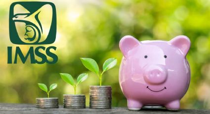 Modalidad 40: ¿Cómo tener una pensión IMSS de 30,000 pesos al mes en 2025?
