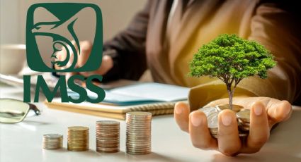 ¿Cuánto cobran los pensionados del IMSS en mayo 2025? TABLA con porcentaje según su edad