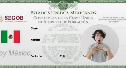 CURP: No podrás comprar estos productos si no la presentas