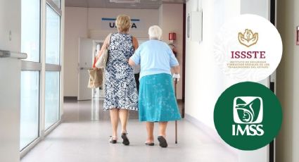 Pensión IMSS e ISSSTE: ¿Cuánto es el monto mínimo que recibirás al jubilarte del  Fondo de Pensiones del Bienestar?