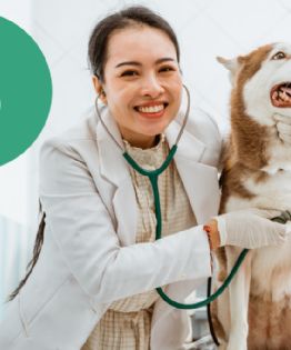 Farmacia del Ahorro y Dr. Simi: ¿Cuánto costarán las consultas a mascotas?