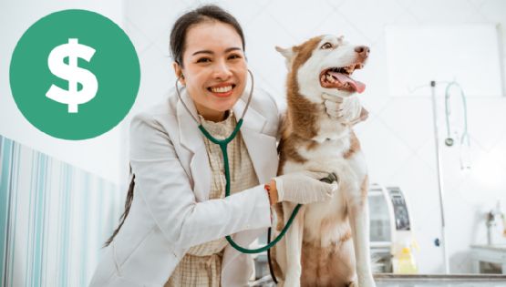 Farmacia del Ahorro y Dr. Simi: ¿Cuánto costarán las consultas a mascotas?