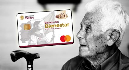Pensión Bienestar ofrece PAGO único para familiares de adultos mayores; ¿de qué se trata?