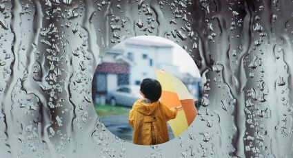 Ciclón tropical “Flossie”: Lista de estados con lluvias y tormentas este fin de semana
