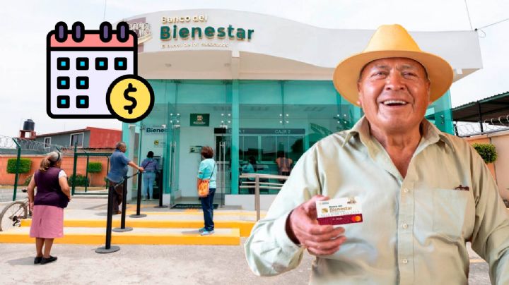 Pensión Bienestar 2025: ¿Qué día anuncian el calendario del próximo PAGO a adultos mayores?