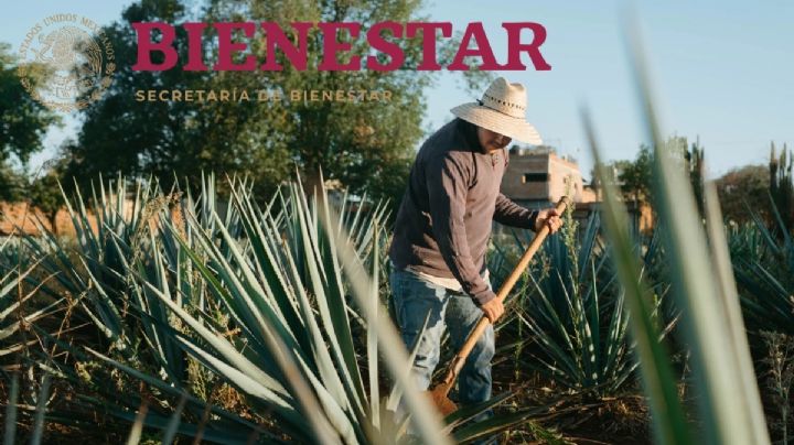 Este programa te apoya con un PAGO de 6,450 pesos al mes y no es la Pensión del Bienestar