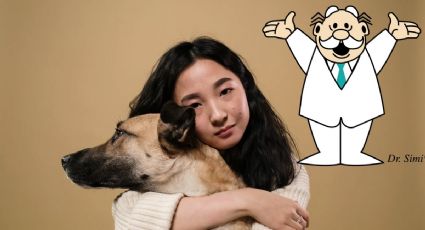 Simi Pet Care: ¿Para qué personas es GRATIS el servicio de veterinaria a partir de julio 2025?