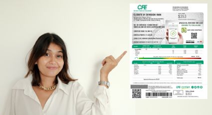 ¿No te llegó el recibo? La forma más rápida de saber cuánto le debes a CFE