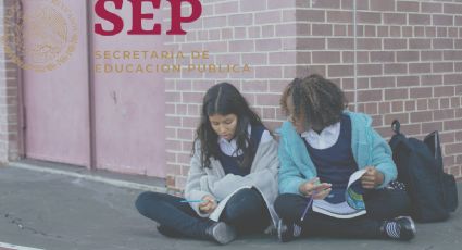 ¿Cuál es el link correcto para descargar y consultar las boletas de calificaciones?