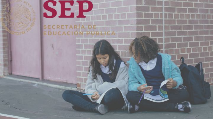 ¿Cuál es el link correcto para descargar y consultar las boletas de calificaciones?