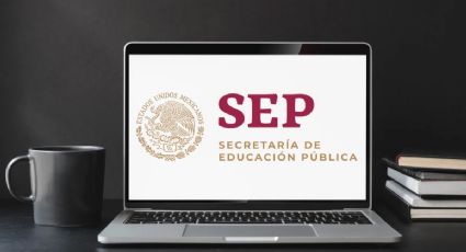 PASO a PASO: ¿Cómo descargar el certificado de estudiantes de Educación Básica del ciclo 2024-2025?