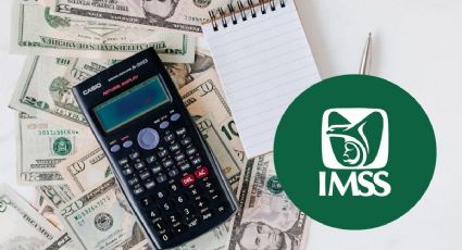 ¿De cuánto es la pensión mínima garantizada del IMSS en 2025?