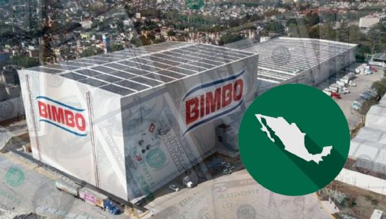 Bimbo anuncia inversión de 2 mdd en 7 estados del país y 2,000 nuevos empleos