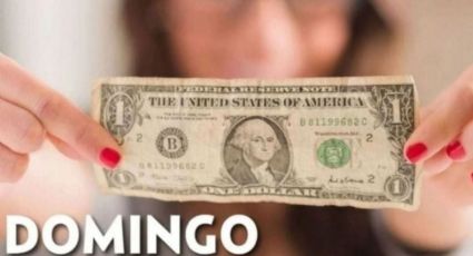 Precio del dólar hoy domingo 20 de julio 2025: Así está el tipo de cambio en México