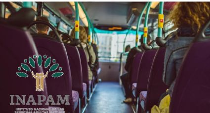 Turibus consiente a adultos mayores con descuentos en viajes a Acapulco, Puebla y otros estados