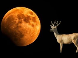 Luna de Ciervo julio 2025: ¿Cuándo y a qué hora se verá en México?