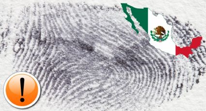 CURP biométrica: ¿Qué trámites y servicios pedirán el documento con foto y huellas dactilares?
