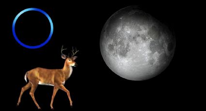 Luna de Ciervo: ¿Cómo ver este fenómeno natural desde México, según la IA?