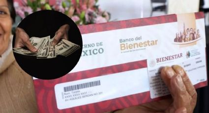 Programas para el Bienestar: ¿Cómo inscribirte a todos los que abren registro en agosto?