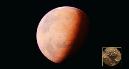 NASA descubre misteriosa roca con forma de coral en Marte; desata teorías de vida en el planeta
