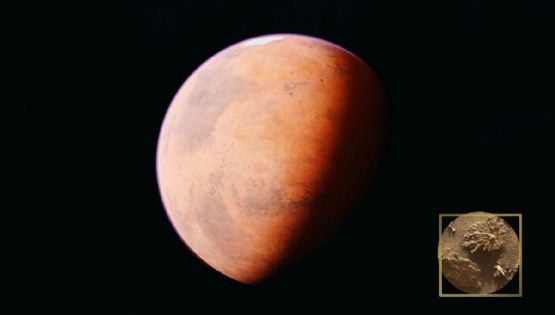 NASA descubre misteriosa roca con forma de coral en Marte; desata teorías de vida en el planeta