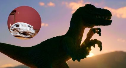 Inundaciones en Texas dejan al descubiertos huellas de dinosaurios de hace 100 millones de años	