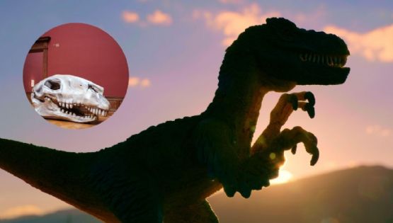 Inundaciones en Texas dejan al descubiertos huellas de dinosaurios de hace 100 millones de años	