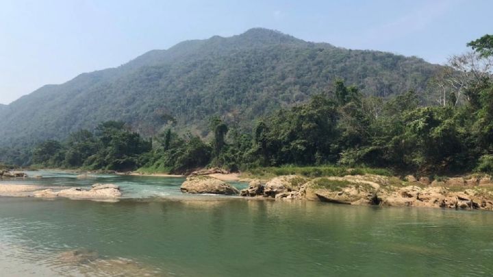 Hallan ciudad maya que estuvo perdida más de 300 años; aquí se ubica la "Tierra del Jaguar Blanco"