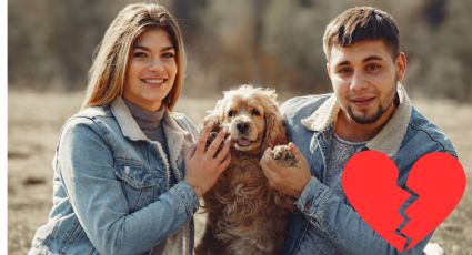 Esto dice la nueva ley sobre custodias compartidas de mascotas por divorcios en CDMX