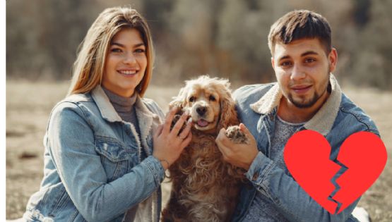 Esto dice la nueva ley sobre custodias compartidas de mascotas por divorcios en CDMX