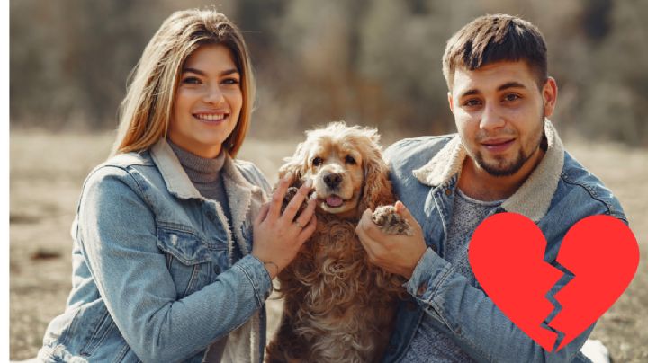 Esto dice la nueva ley sobre custodias compartidas de mascotas por divorcios en CDMX