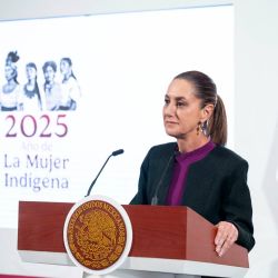 EN VIVO: Sigue minuto a minuto la “Mañanera” de Claudia Sheinbaum HOY 20 de agosto