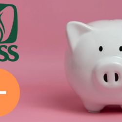 Pensión IMSS 2025: ¿Qué pensionados reciben un aumento del 15% en su pago de septiembre?