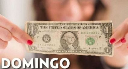 Precio del dólar hoy domingo 3 de agosto 2025: Así está el tipo de cambio en México